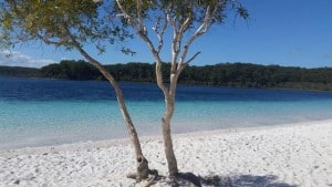 See the gorgeous Lake McKenzie on this awesome Fraser Island day tour