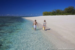 Stroll along the beautiful white sand beaches at Lady Elliot Island Eco Resort