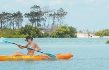 Go kayaking and spot marine like on this Fraser Island cruise