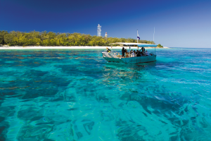 Experience nature at its best on a Lady Elliot Island Day Trip
