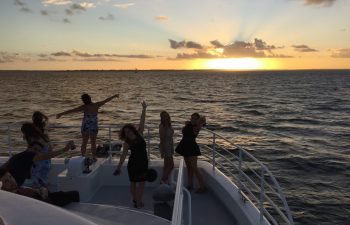 Relax and enjoy the view on Whalesong's seafood sunset cruise
