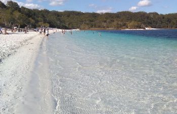 On this Fraser Island tour Visit the famous iridescent blue waters of Lake McKenzie on the world heritage listed Fraser Island.
